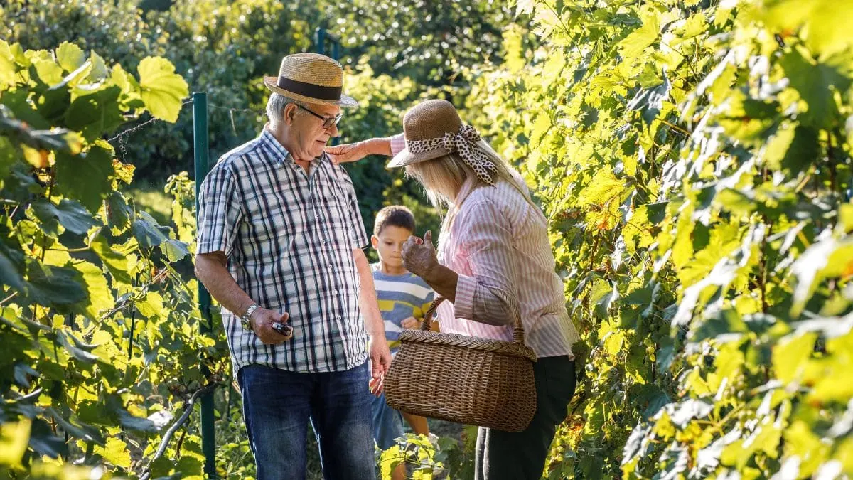 Unos abuelos y su nieto pasean juntos por un viñedo, cuánto cuesta el seguro de decesos en Ribeira